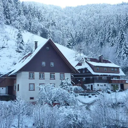 Dreamy Holiday In Near Ski Area *