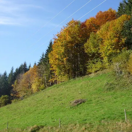 Dreamy Holiday In Near Ski Area Casa vacanze Simonswald