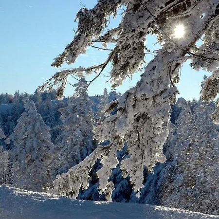 Dreamy Holiday In Near Ski Area Casa vacanze Simonswald