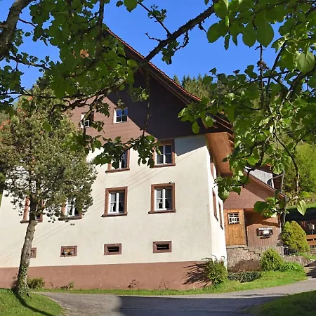 Dreamy Holiday In Near Ski Area *