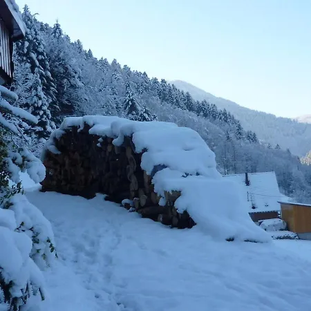 Dreamy Holiday In Near Ski Area