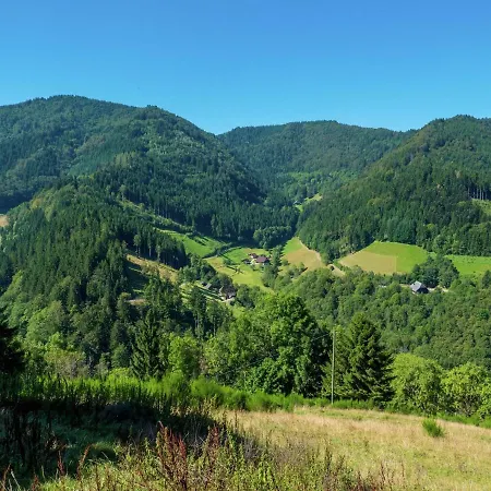 Dreamy Holiday In Near Ski Area Simonswald