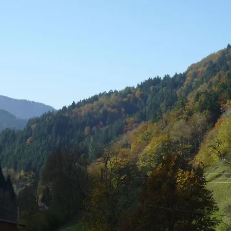 Dreamy Holiday In Near Ski Area
